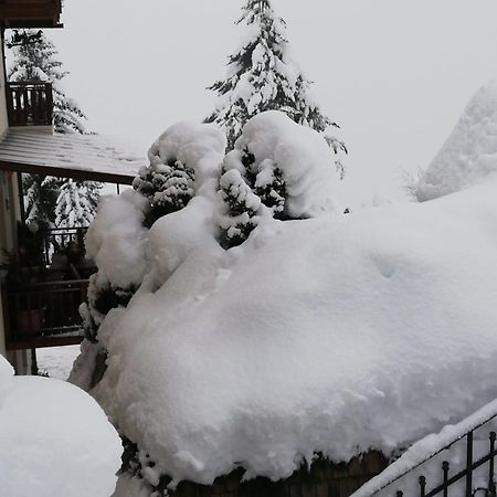 Appartement Schoeffmann Bad Kleinkirchheim Eksteriør bilde